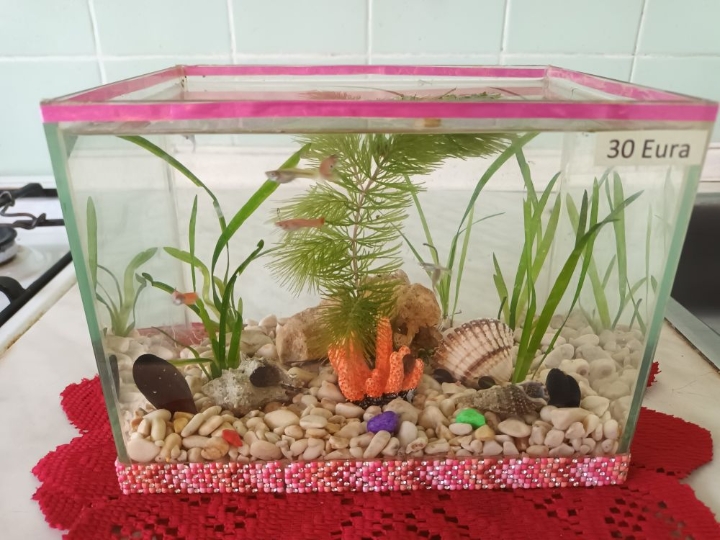 Akvarij ukrasni, šesterokutni