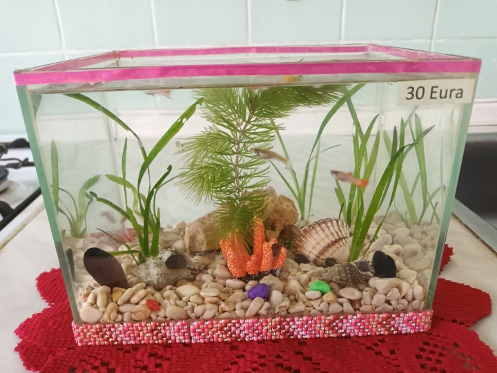 Akvarij ukrasni, šesterokutni