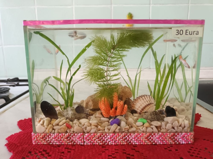 Akvarij ukrasni, šesterokutni