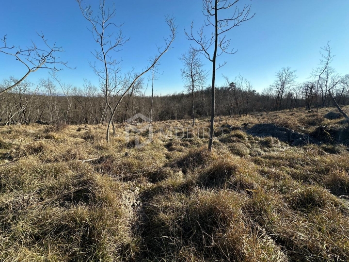 Građevinsko zemljište 2500 m²