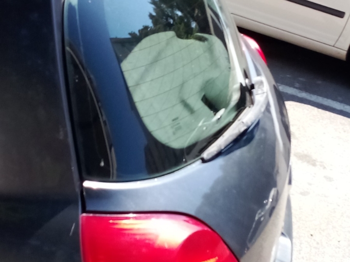 Renault Clio, 2007. god.
