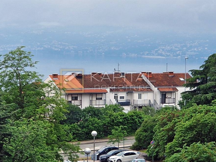 Hosti, 2S+DB u naravi 3S+DB