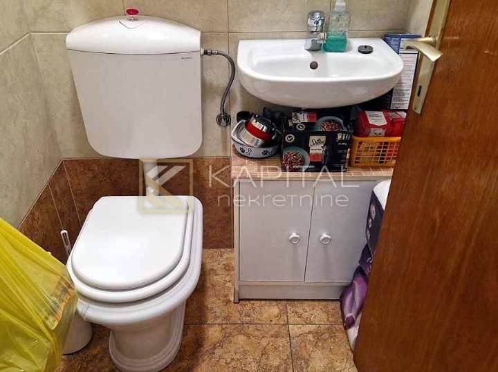 Hosti, 2S+DB u naravi 3S+DB