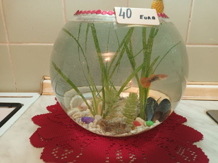 Akvarij 54 litre s poklopcem