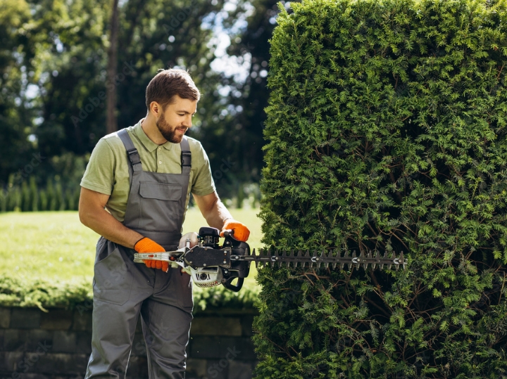 Košnja i čišćenje terena