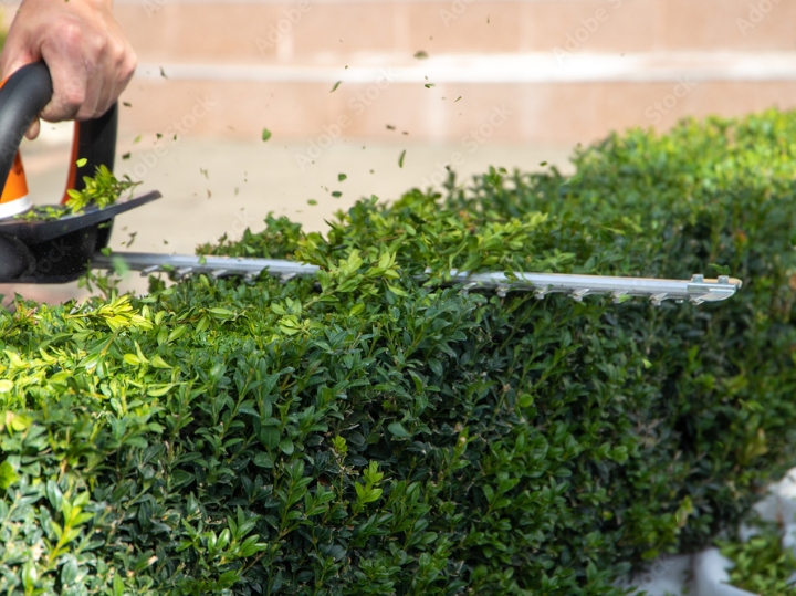 Košnja i čišćenje terena