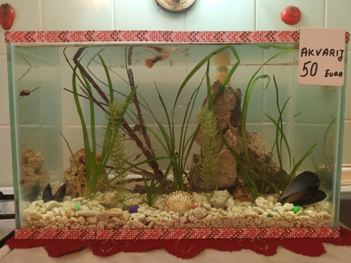 Akvarij s postoljem