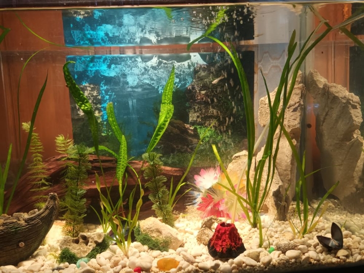 Akvarij s postoljem