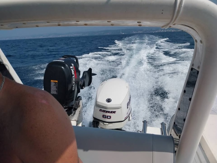Barracuda 470