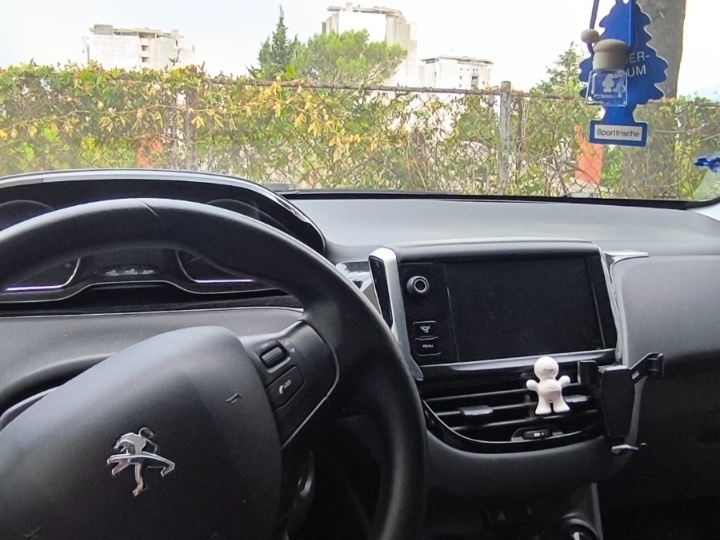 Peugeot 208, reg. godinu dana