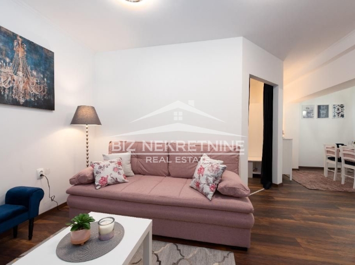 Kastav, Rubeši, stan 46m2, 1S+DB, najam