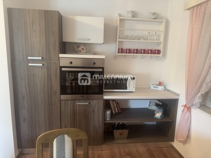 Ravna Gora, 252m2, samostojeća kuća, okućnica 371m2