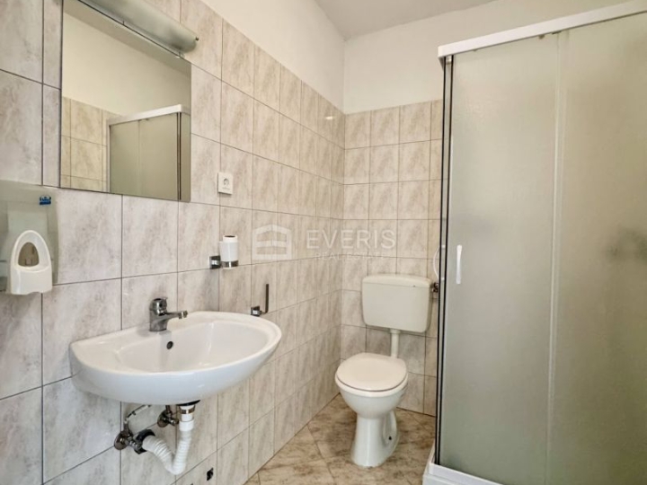 Matulji, Šapjane, poslovno stambena kuća 780 m2, velika okućnica