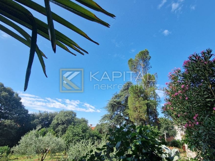 Stan Rijeka, Belveder, jednosoban stan u prizemlju