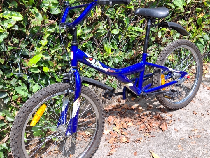 Dječja bicikla RJ Monster 20"