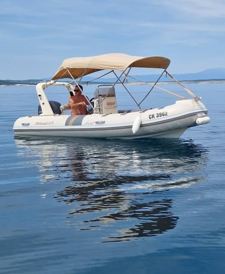 Barracuda 470