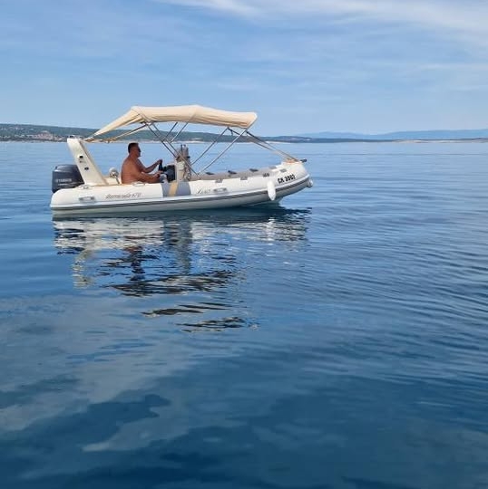 Barracuda 470