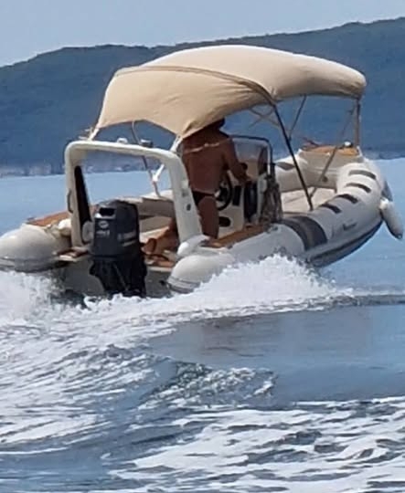 Barracuda 470