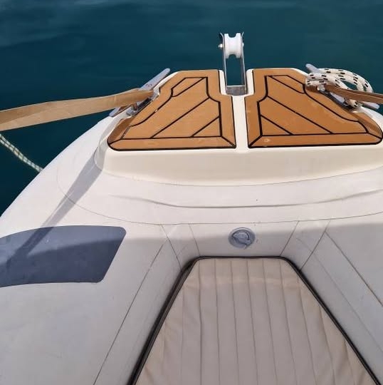 Barracuda 470
