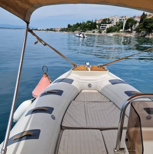 Barracuda 470