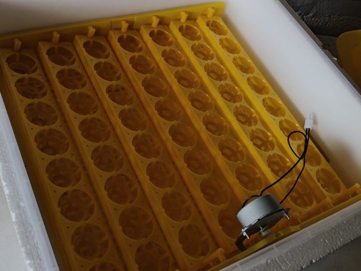 Inkubator