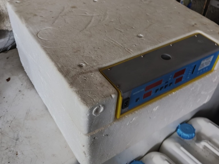 Inkubator
