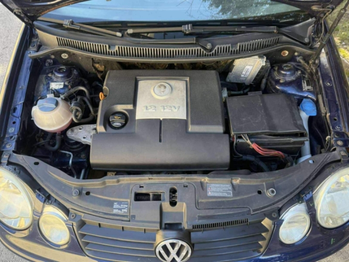 VW Polo 1.2i 12V Cricket
