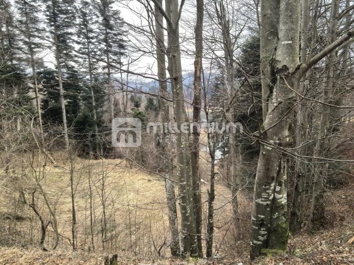 Gorski kotar, Lokve, imanje uz jezero