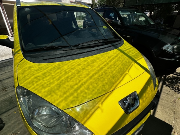 Peugeot 1007