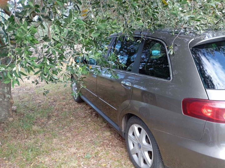 Fiat Croma
