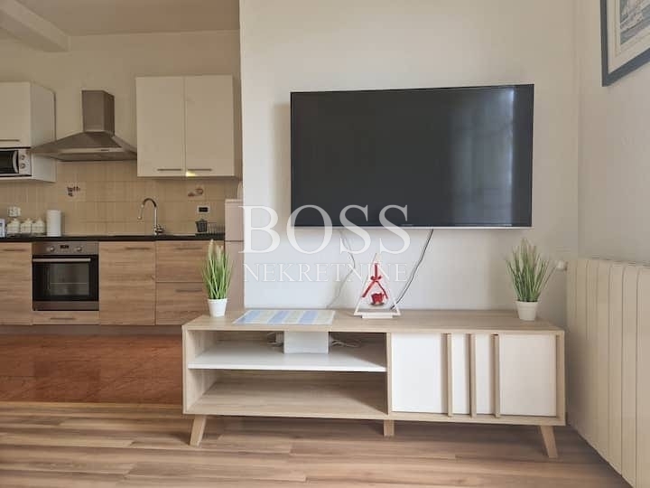 Pehlin, 1S+DB, 48 m2, 550 € + režije