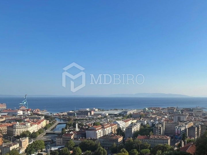 Dvosoban stan s predivnim pogledom, Kozala