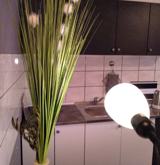Stan za najam – 40 m², priz, 420 €