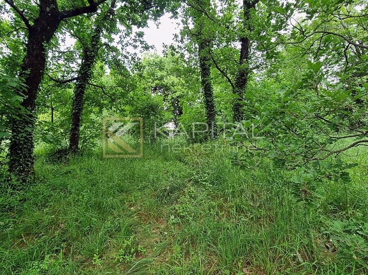 Rijeka, teren 1600m2 za dvojnu ili 2 samostojeće