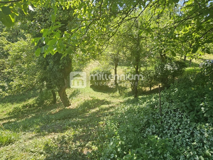 Gorski Kotar, Vrbovsko, 162 m2, velika okućnica