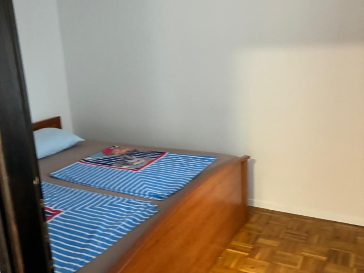 Dvosobni stan s velikom terasom