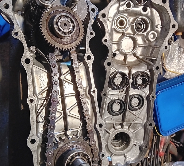 Kopačica Mio Honda F450