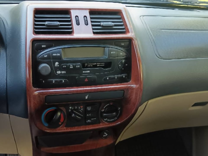 Nisan Terrano