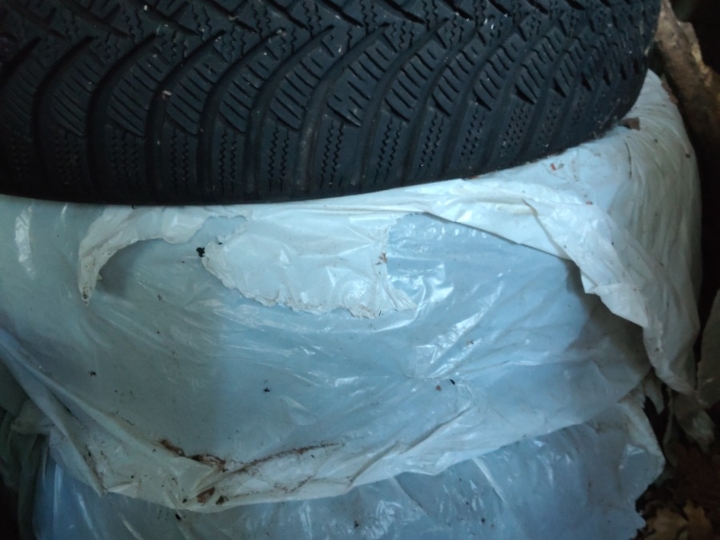 Gume 185/65R15