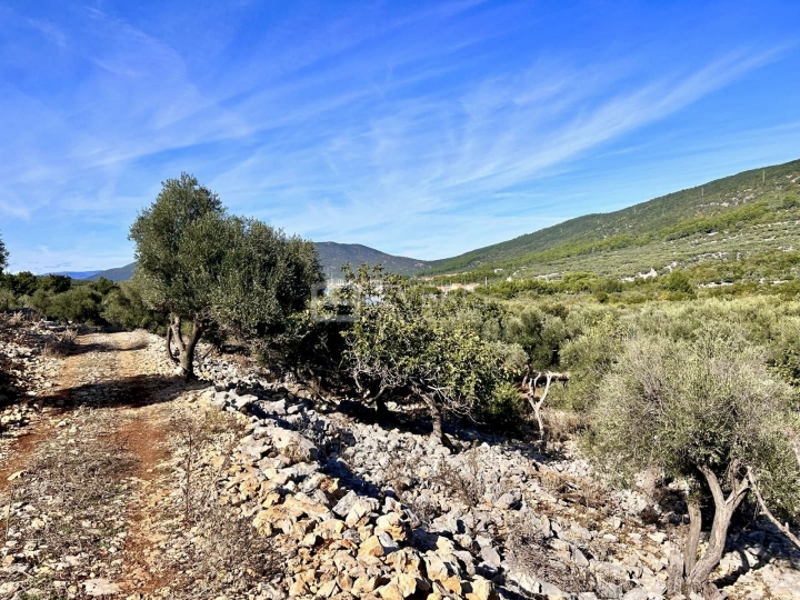 Cres, Maslinik 3.248 m2 na iznimnoj lokaciji s pogledom na more
