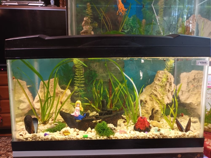 Akvarij 54 litre s postoljem