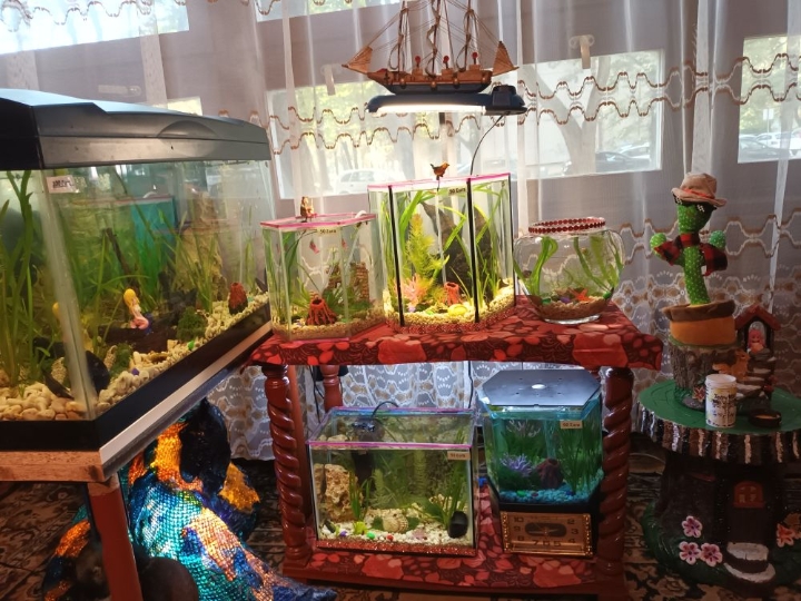 Akvarij 54 litre s postoljem