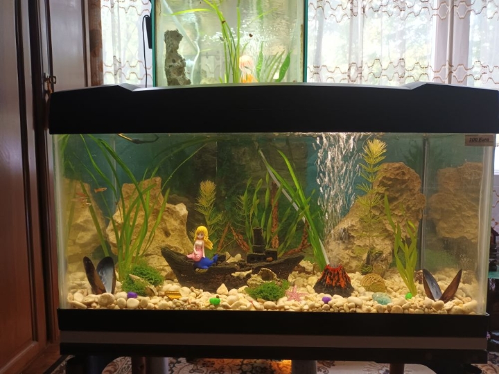 Akvarij 54 litre, sa postoljem