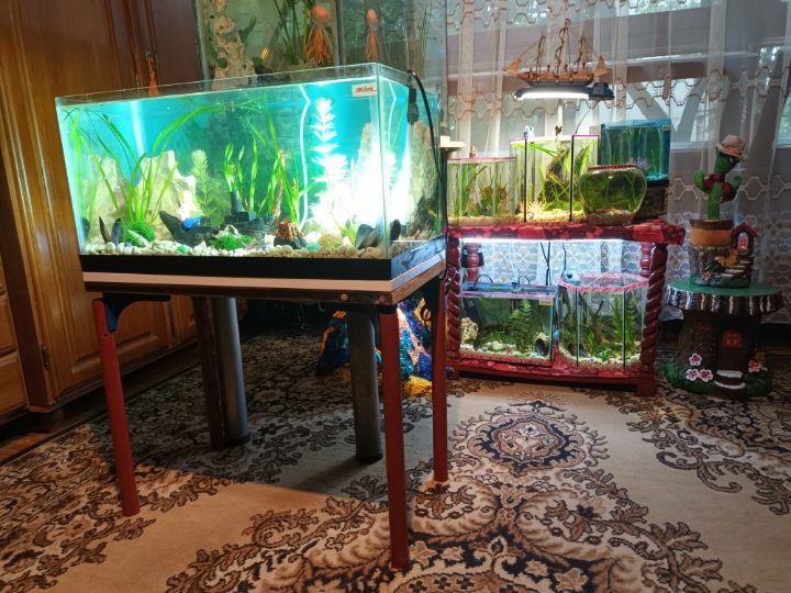 Akvarij 54 litre, sa postoljem