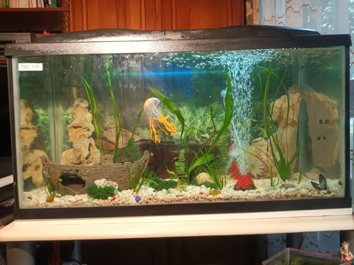 Akvarij 54 litre, sa postoljem
