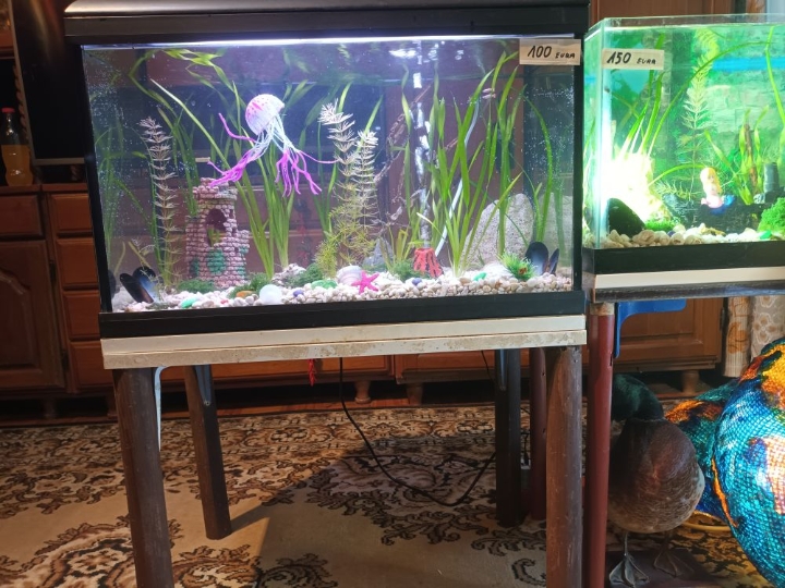 Akvarij 65 litara sa poklopcem