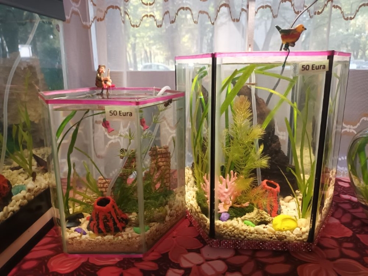 Akvarij 80 litara sa poklopcem