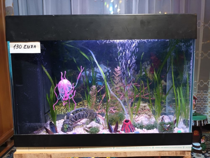 Akvarij 80 litara sa poklopcem