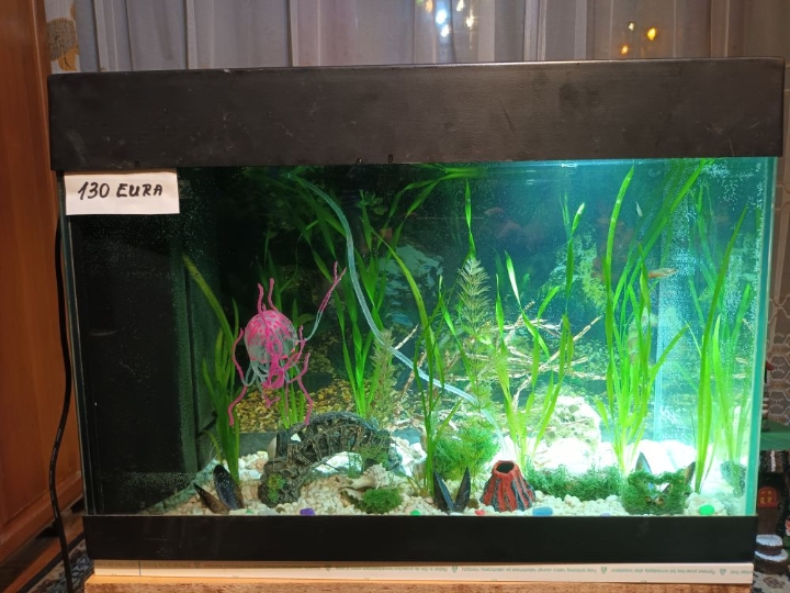 Akvarij 80 litara sa poklopcem