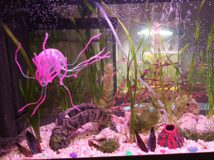 Akvarij 80 litara sa poklopcem